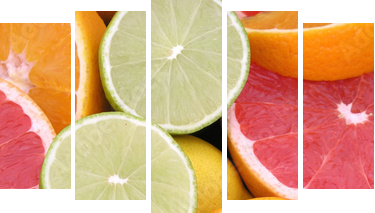 citrus fruits - Fünfteiliges Leinwandbild, Pentaptychon