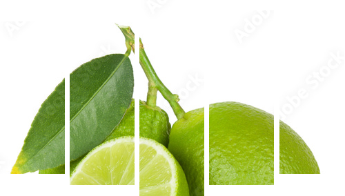 Lime - Fünfteiliges Leinwandbild, Pentaptychon