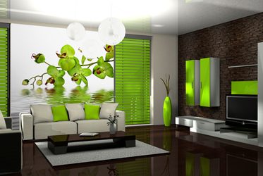 Extravagante-grune-orchidee-furs-wohnzimmer-fototapeten-fixar