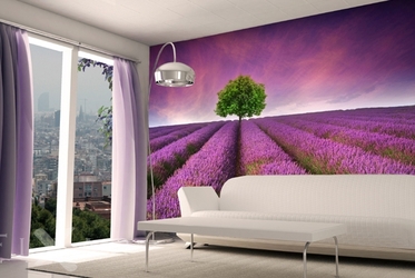 Lavendelwiesen-provence-fototapeten-fixar