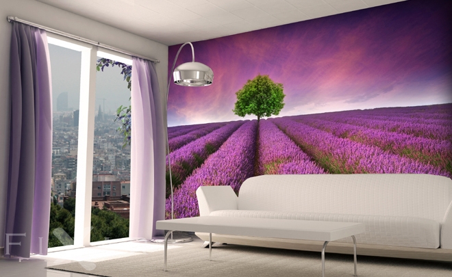 Fototapeten Lavendelwiesen