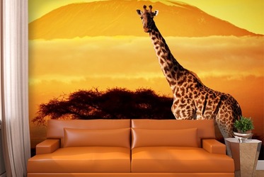 Giraffen-verlassen-den-schrank-tiere-fototapeten-fixar