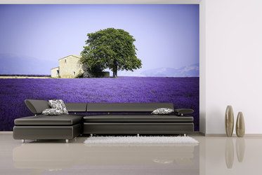 Lavendeleingebung-magie-der-farben-provence-fototapeten-fixar