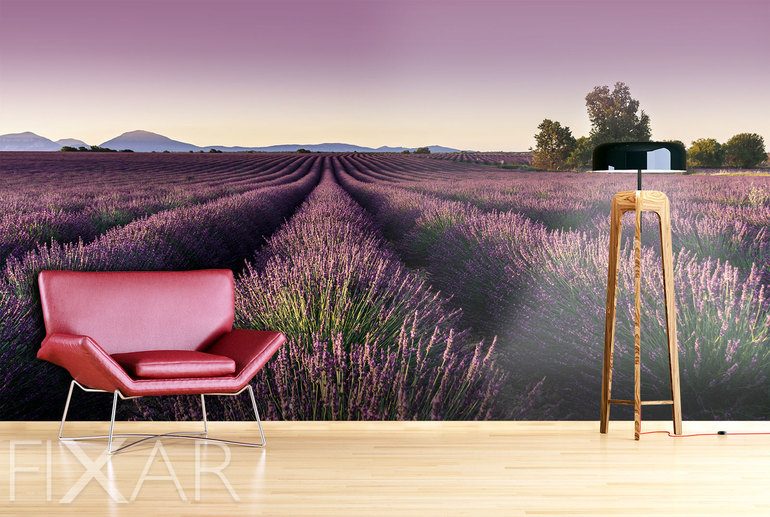 Fototapeten Duft provenzalisches Lavendels 