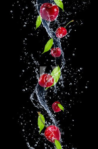 Cherries in water splash, isolated on black background