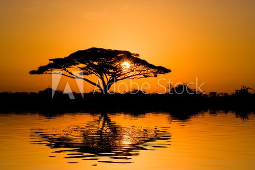 Feurige Silhouette am Seeufer