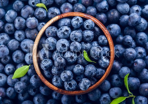 Frische Blaubeerpower für Ihre Küche