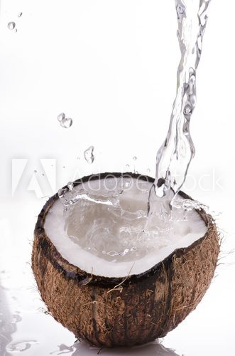 noce di cocco splash
