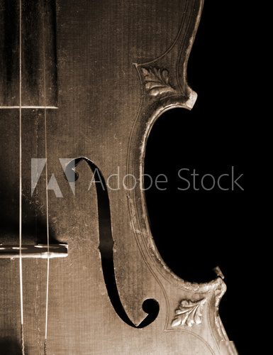 Part of vintage violin