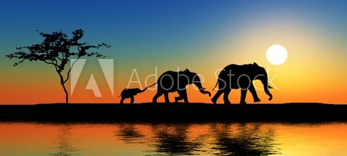 Rodzina słoni w promieniach słońca
