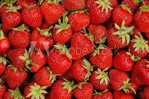 Sommerliche Fülle in leuchtendem Rot