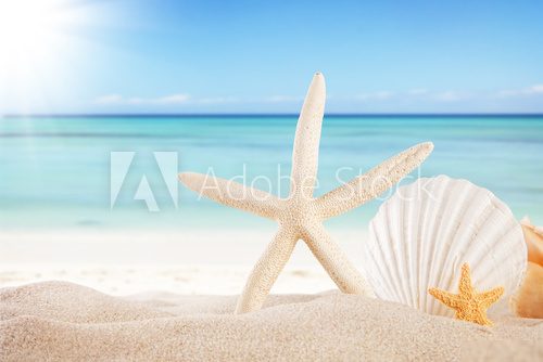 Sommerliche Küstenstimmung