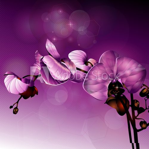 3d dark pink orchid flower illustration 