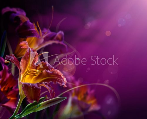 abstract floral background.With copy-space 