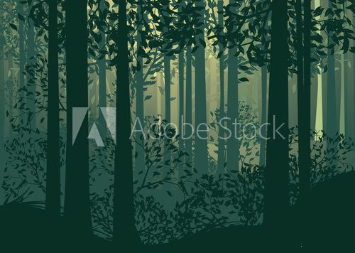 Abstract Forest Landscape