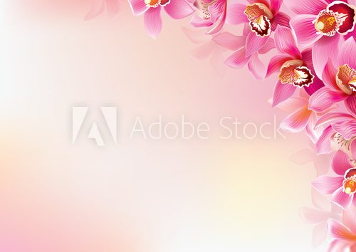Background of orchids 