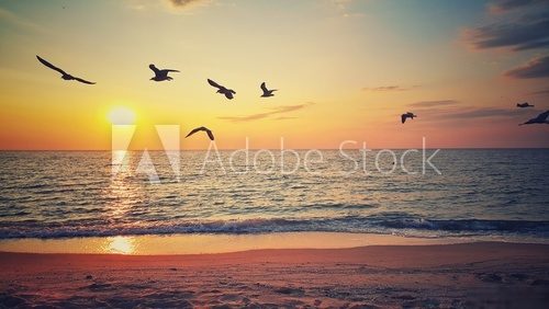 Beautiful sunrise over the beach and flying birds