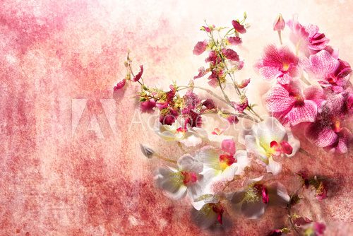 Branch of white and pink orchids in grunge style 