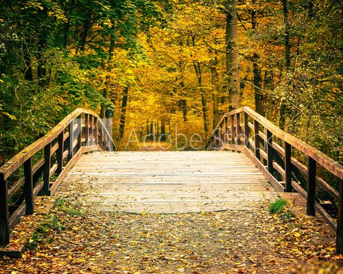 Bridge in autumn park 