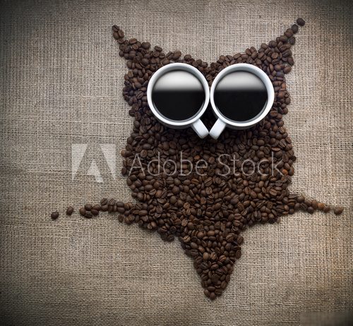 Coffee core owl