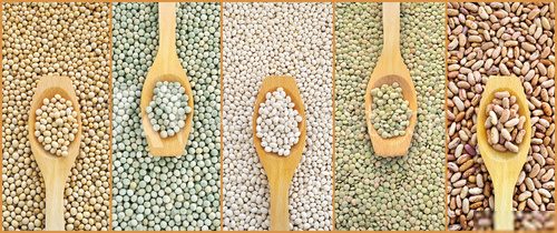 Collage of dried lentils, peas, soybeans, beans with spoon 