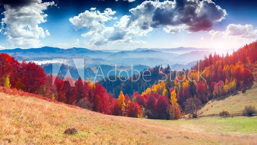 Colorful autumn landscape in the mountain village. Foggy morning 