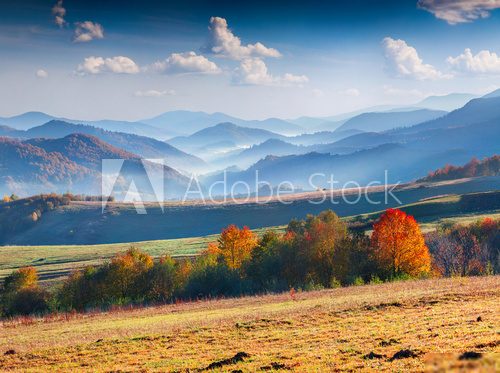 Colorful autumn panorama of the mountains. 