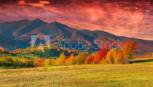 Colorful autumn sunrise in the mountains. 
