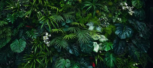 Creative nature green background, tropical leaf banner or floral jungle pattern concept.
