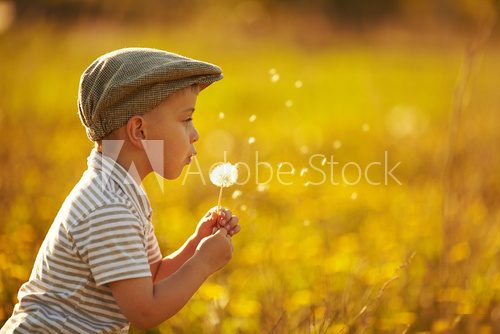cute little boy with dandelions 