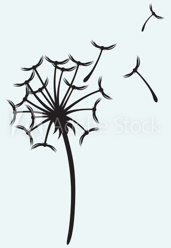 Dandelion on a wind isolated on blue background 