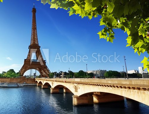 Eiffel tower, Paris. France 