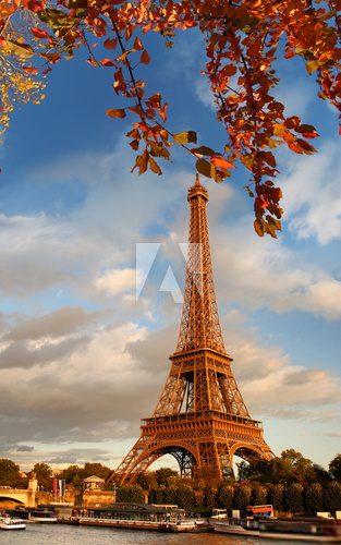Eiffel Tower with autumn leaves in Paris, France 