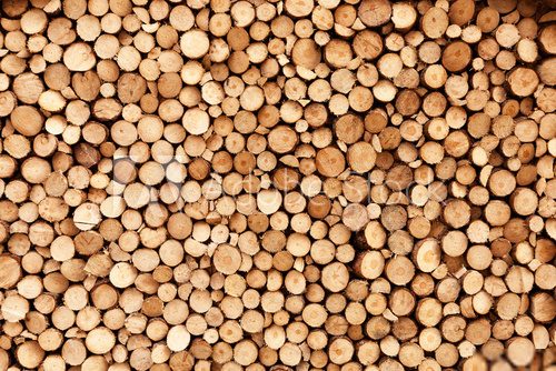 Firewood texture 