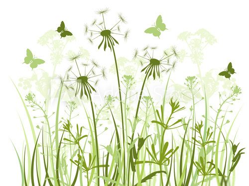 floral background with  grass and dandelions 