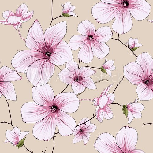 flower blossom illustration 
