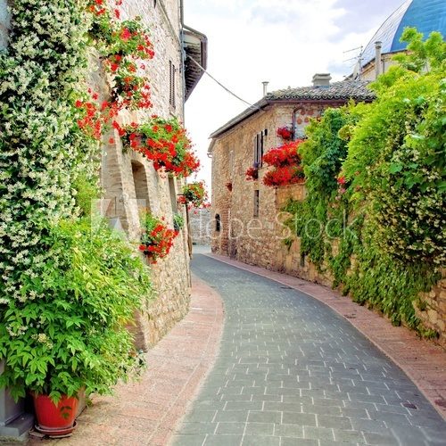 Flower lined street in the town of Assisi, Italy 