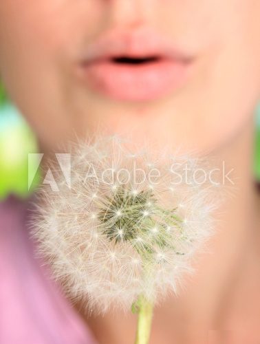 Girl blowing on dandelion close up 