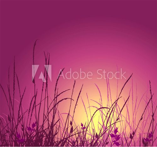 grass vector silhouette and sunset