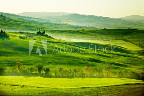Grüne, toskanische Felder