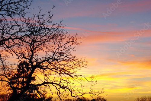 Herbstliche Silhouette im Farbenrausch