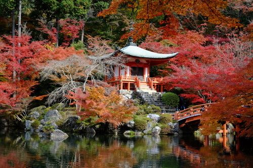 Herbstzauber im japanischen Garten