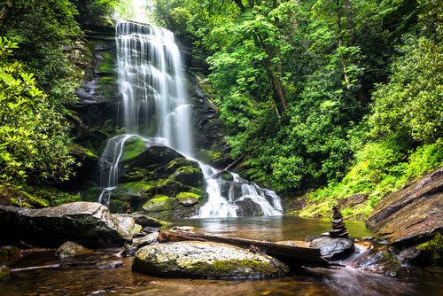 Idyllischer Wasserfall im grünen Wald
