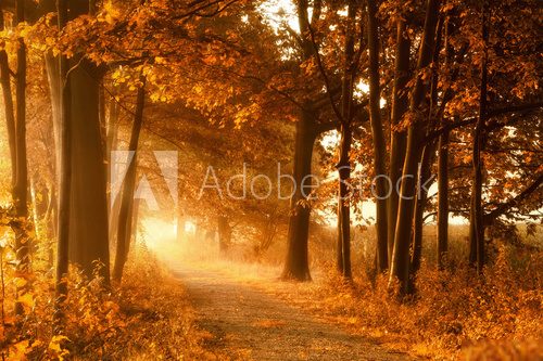 In der Umarmung der Herbst-Landschaft 
