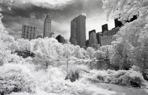Infrared image of the Central Park 