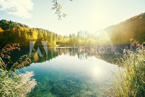 lake in forest, Croatia, Plitvice
