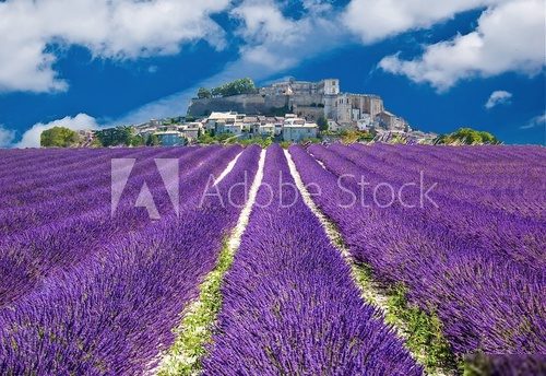 Lavande en Provence, village provenÃ§al en France