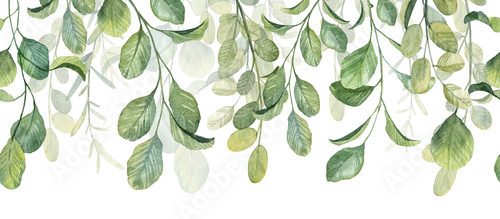 Long banner header with hanging green botany. Hand painted watercolor illustration for greeting card and invitation design