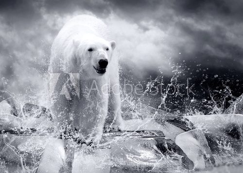 Majestätischer Eisbär in arktischer Wildnis
