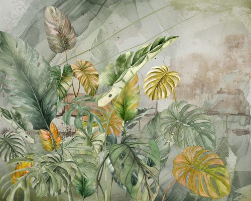 natural green Monstera Deliciosa leaves